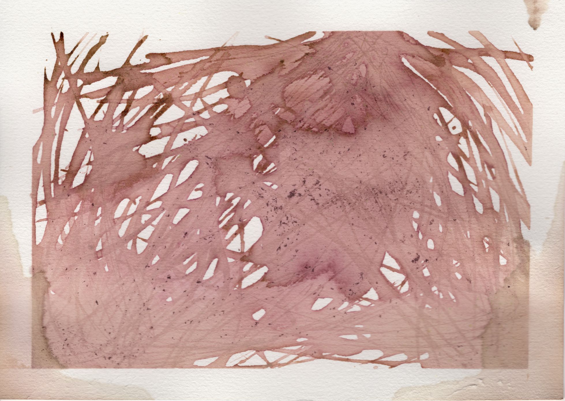 assorted_24-25 cover