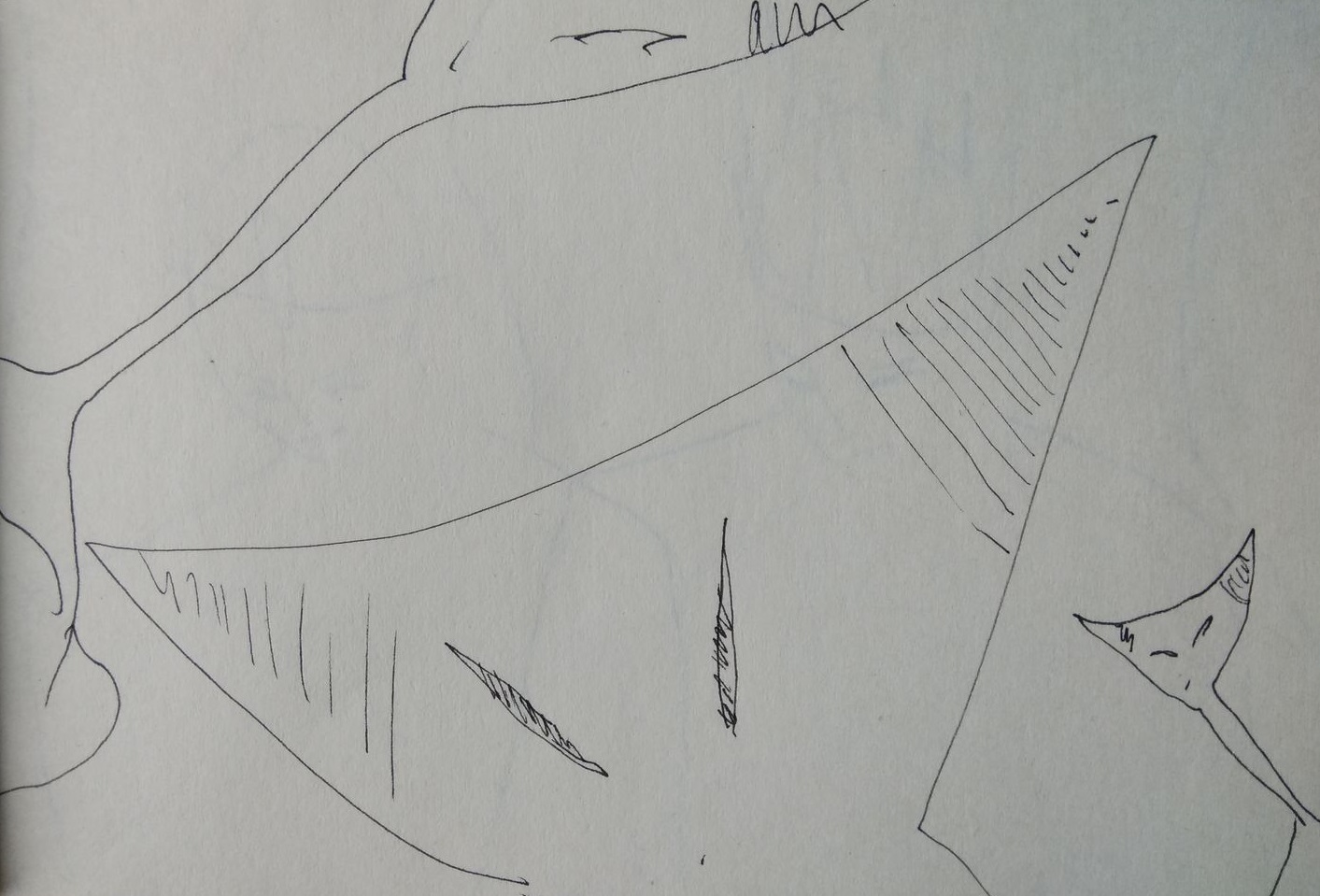 floral_cover_sketchbook2_2021 cover