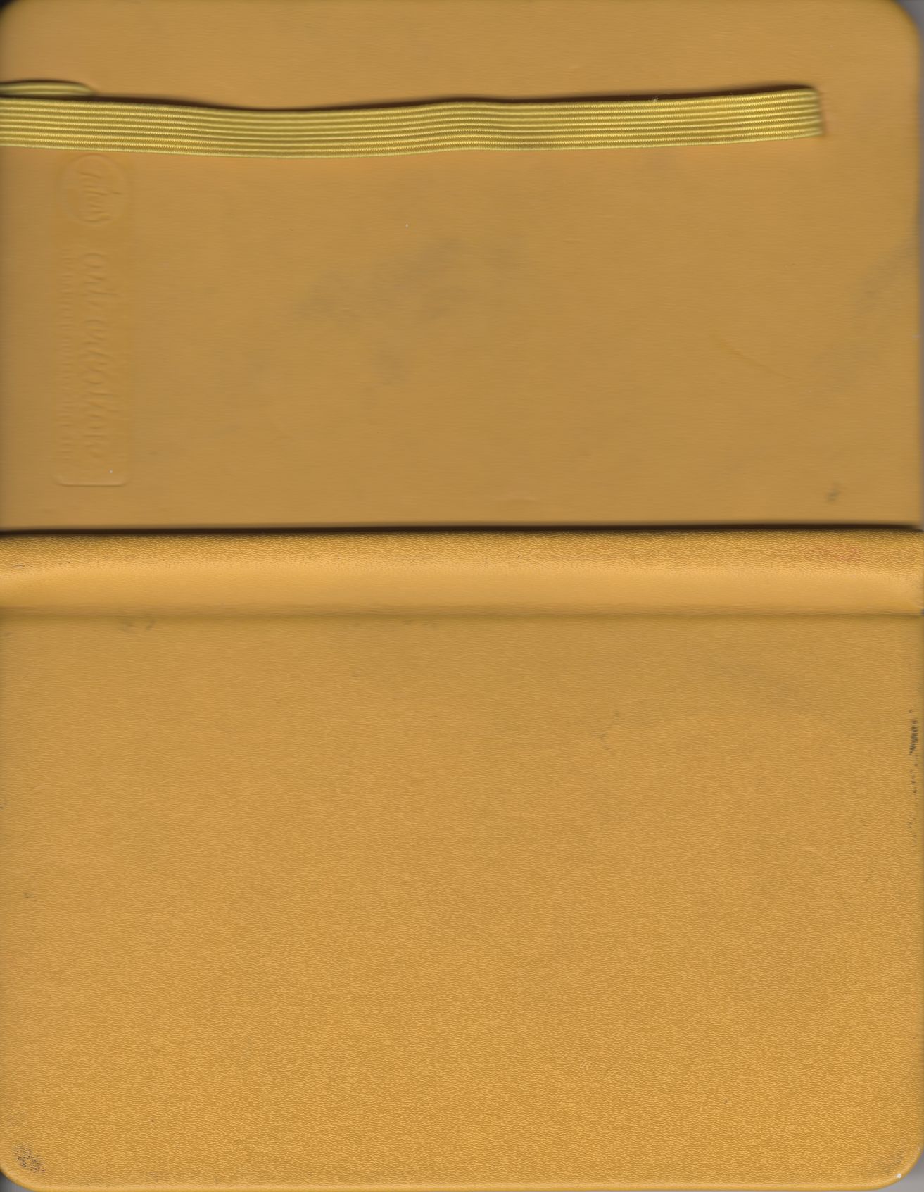 yellow_flowers_24-25 cover