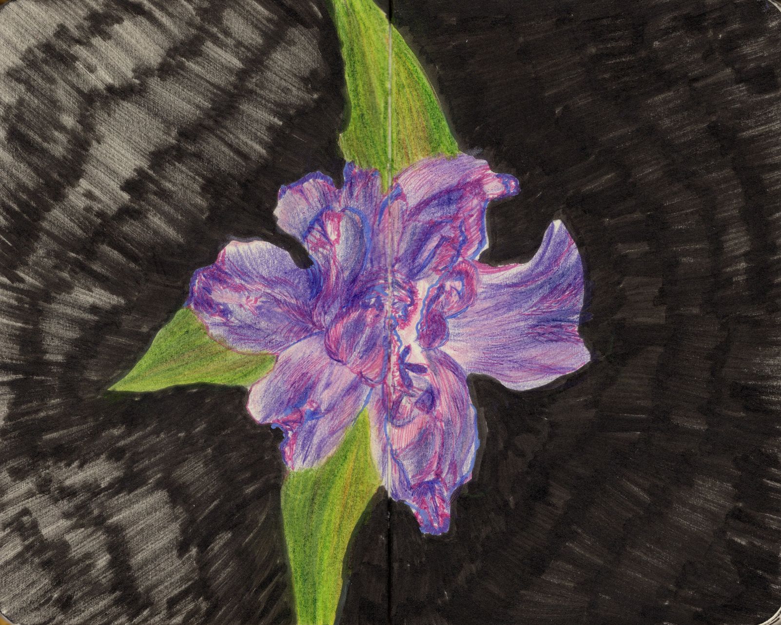 Page 64